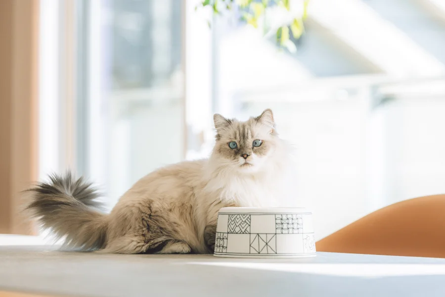 オリジナルプロダクト